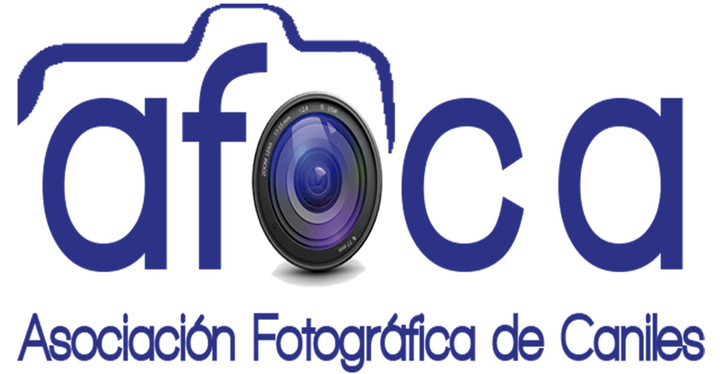 AFOCA - Asociación Fotográfica de Caniles - Logotipo oficial AFOCA